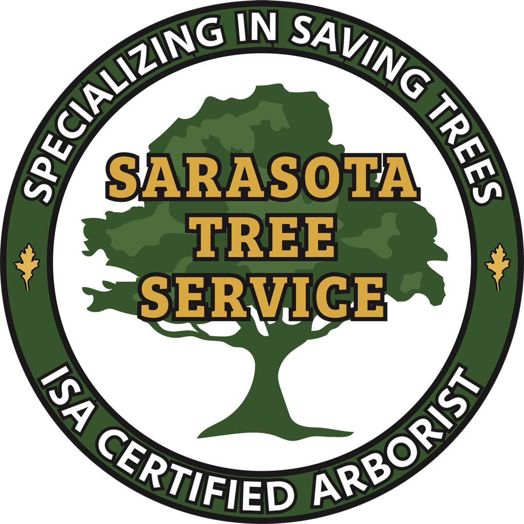 Sarasota Mangrove trimming