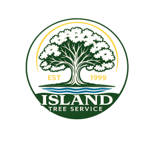 ChatGPT Image Feb 5, 2026, 02_13_11 PM